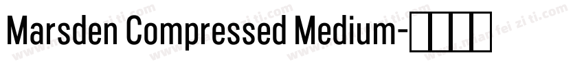 Marsden Compressed Medium字体转换